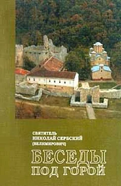 Николай Велимирович Проповедь под горой обложка книги