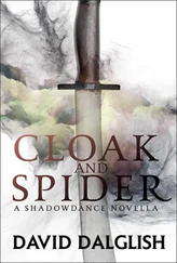 David Dalglish - Cloak and Spider