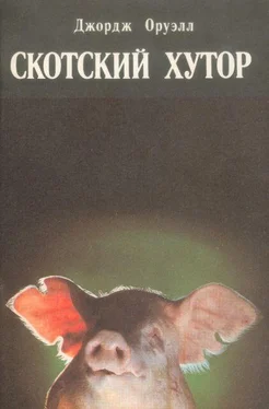 Джордж Оруэлл Скотский хутор обложка книги