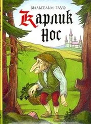 Вильгельм Гауф - Карлик Нос