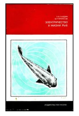 Александр Лаздин Электричество в жизни рыб обложка книги