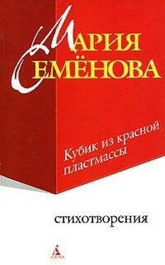 Мария Семенова Кубик из красной пластмассы обложка книги