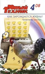 Журнал «Юный техник» - Юный техник, 2008 № 04