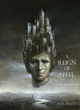 Morgan Rice A Reign of Steel обложка книги