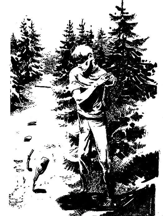 Ханнес собирается с силами ядро описывает высокую дугу но и это не помогает - фото 5