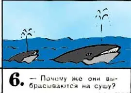 Почему же они выбрасываются на сушу Приключение 8 Бермудский треугольник - фото 89