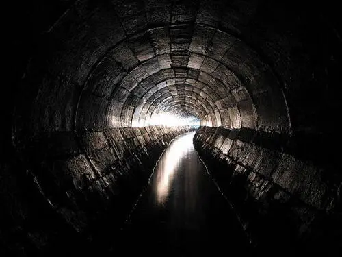 Думаешь для чего я эту ветку захватила Становись на неё не бойся Она тебя - фото 44