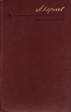 Алексей Корнеев Высокая макуша обложка книги