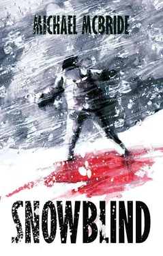 Michael McBride Snowblind обложка книги