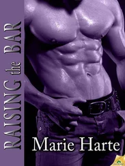 Marie Harte - Raising the Bar