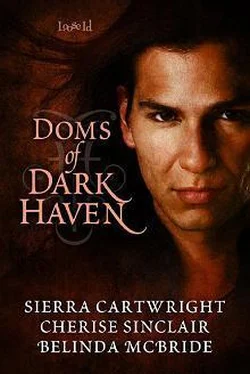 Sierra Cartwright Doms of Dark Haven обложка книги