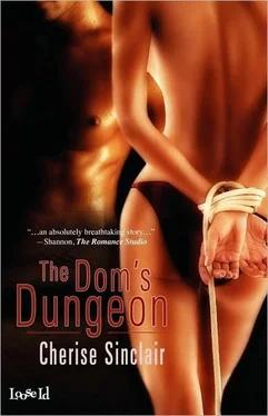Cherise Sinclair The Dom's Dungeon обложка книги