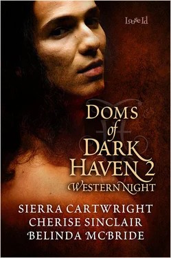 Sierra Cartwright Doms of Dark Haven 2: Western Night обложка книги