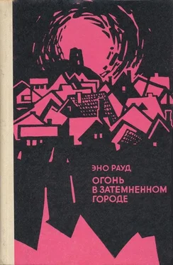 Эно Рауд Огонь в затемненном городе обложка книги