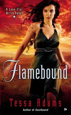 Tessa Adams Flamebound обложка книги