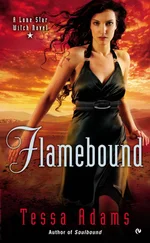 Tessa Adams - Flamebound