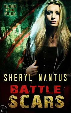 Sheryl Nantus Battle Scars обложка книги