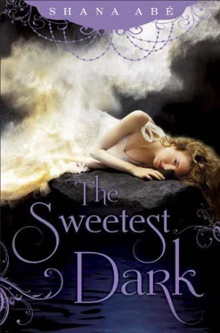 Shana Abe The Sweetest Dark обложка книги