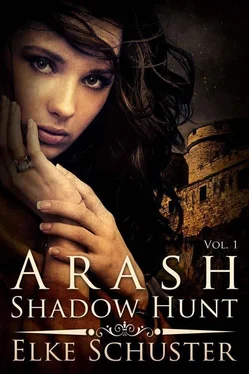 Elke Schuster Arash: Shadow Hunt обложка книги