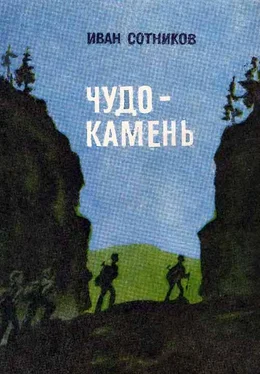 Иван Сотников Чудо-камень обложка книги