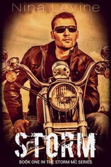 Nina Levine - Storm
