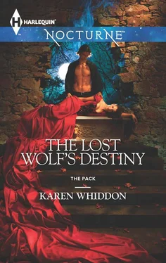 Karen Whiddon The Lost Wolf's Destiny обложка книги