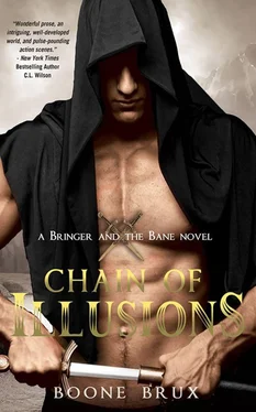 Boone Brux Chain of Illusions обложка книги