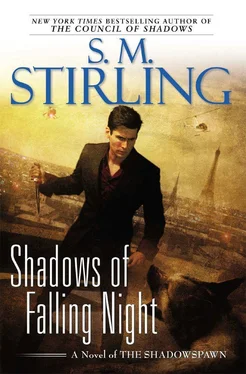 S. Stirling Shadows of Falling Night обложка книги