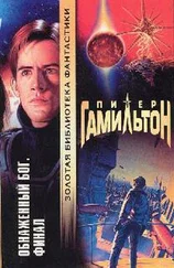 Питер Гамильтон - Обнаженный Бог - Финал