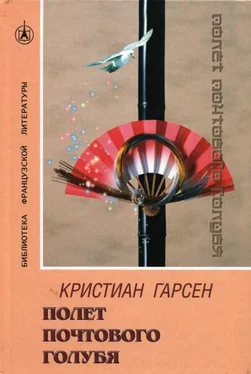 Кристиан Гарсен Полет почтового голубя обложка книги