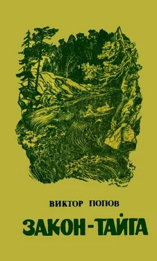 Виктор Попов Закон-тайга обложка книги