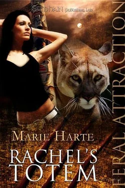 Marie Harte Rachel's Totem обложка книги