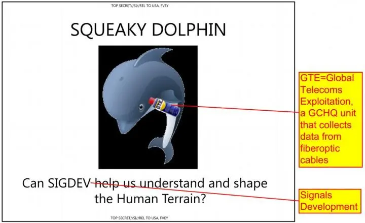 Одновременно стало известно о проекте Squeaky Dolphin предполагающем - фото 54