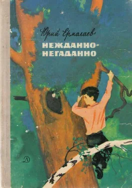 Юрий Ермолаев Нежданно-негаданно обложка книги