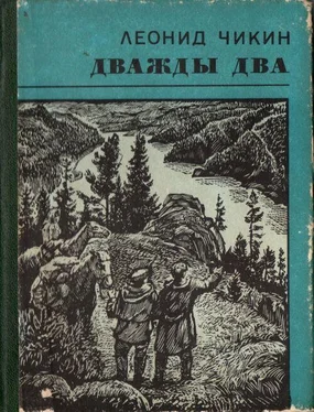 Леонид Чикин Дважды два обложка книги