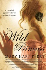 Mary Perry - The Wild Princess - A Novel of Queen Victoria's Defiant Daughter