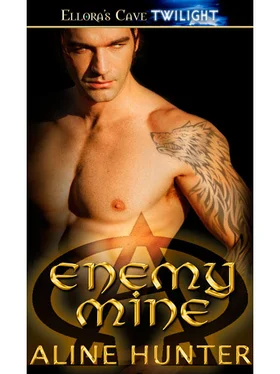 Aline Hunter Enemy Mine обложка книги