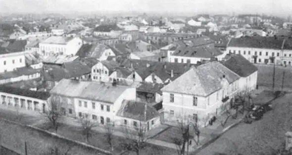 ГураКальвария в начале XX века О детстве Мессинга мы имеем всего два - фото 3
