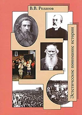 Василий Розанов Отречение дарвиниста обложка книги