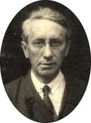 Сигизмунд Кржижановский - Гусь