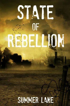 Summer Lane State of Rebellion обложка книги