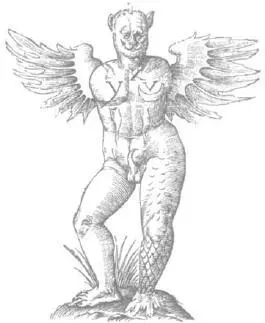 THE MONSTER OF RAVENNA 1512 FROM ULISSE ALDROVANDI 1642 MONSTRORUM HISTORIA - фото 3