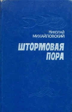 Николай Михайловский Штормовая пора обложка книги