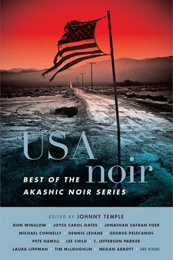 Johnny Temple USA Noir: Best of the Akashic Noir Series обложка книги