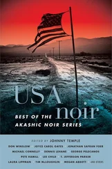 Johnny Temple - USA Noir - Best of the Akashic Noir Series