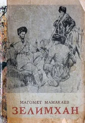 Магомет Мамакаев - Зелимхан