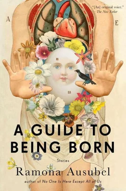 Ramona Ausubel A Guide to Being Born: Stories обложка книги