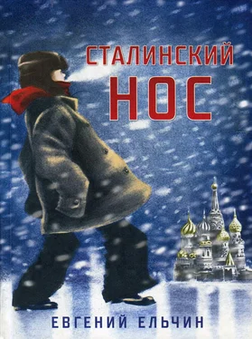 Евгений Ельчин Сталинский нос обложка книги