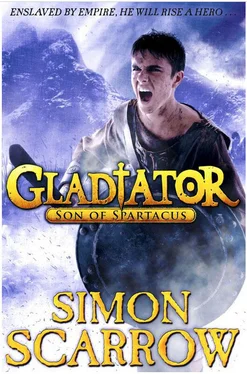 Simon Scarrow Son of Spartacus обложка книги