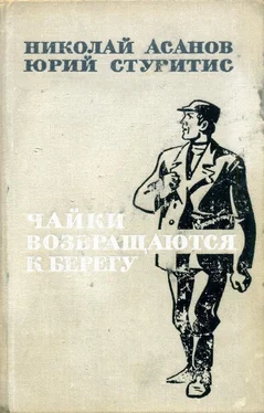 Николай Асанов Чайки возвращаются к берегу. Книга 2 обложка книги